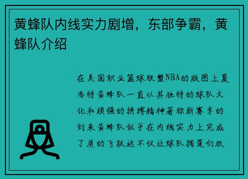 黄蜂队内线实力剧增，东部争霸，黄蜂队介绍