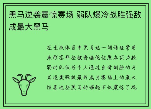 黑马逆袭震惊赛场 弱队爆冷战胜强敌成最大黑马