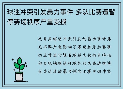 球迷冲突引发暴力事件 多队比赛遭暂停赛场秩序严重受损