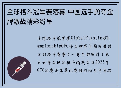 全球格斗冠军赛落幕 中国选手勇夺金牌激战精彩纷呈